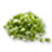 зелень чеснока